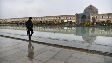 3703641.jpg