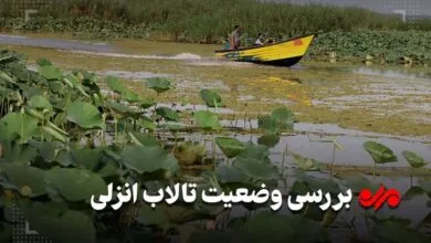 نوشدارو پس از مرگ تالاب؛ بهشت آبی گیلان را جهنم نکنید نوشدارو پس از مرگ تالاب؛ بهشت آبی گیلان را جهنم نکنید