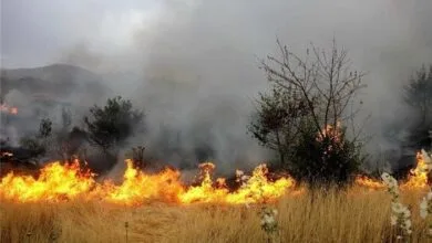 معاون سازمان محیطزیست: سه میلیون و ۶۰۰ هزار هکتار از اراضی محیطزیست و منابع طبیعی کشور کم شده است معاون سازمان محیطزیست: سه میلیون و ۶۰۰ هزار هکتار از اراضی محیطزیست و منابع طبیعی کشور کم شده است