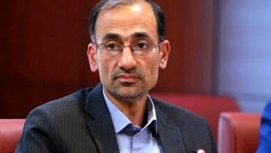 ۸۰ درصد جمعیت گونه‌های حیات وحش طی سال‌های اخیر از دست رفته است