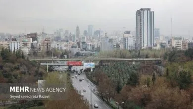 4936840.jpg