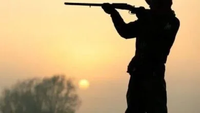 ۲۶۰ شکارچی در مناطق حفاظت شده اصفهان دستگیر شدند