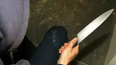 4963698.jpg
