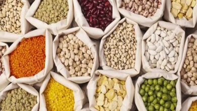 قیمت حبوبات بسته‌بندی شرکتی اعلام شد