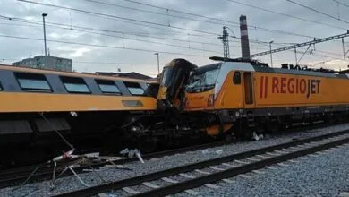 5017201.jpg