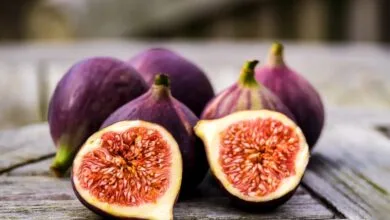 چرا گاهی دچار یبوست میشویم؟ | بهترین خوراکیها برای درمان این عارضه چرا گاهی دچار یبوست میشویم؟ | بهترین خوراکیها برای درمان این عارضه