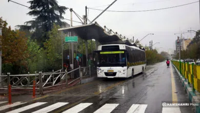 5069318.jpg