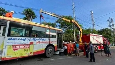5106495.jpg