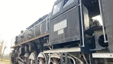 5126451.jpg