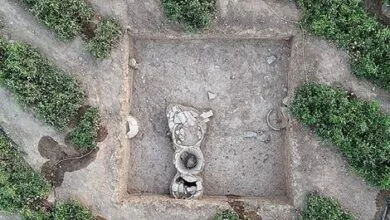 تهران اجتماعی