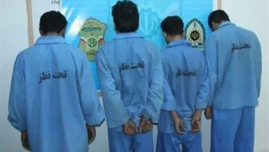 باند ۹ نفره سرقت از باغ دستگیر شدند | سارق نگهبان سابق باغ بود | به من گفته بود که اقلام زیادی برای سرقت در این باغ وجود دارد… باند ۹ نفره سرقت از باغ دستگیر شدند | سارق نگهبان سابق باغ بود | به من گفته بود که اقلام زیادی برای سرقت در این باغ وجود دارد…
