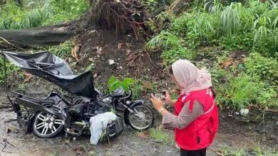 ۲ کشته و ۱۸ زخمی در تصادف جاده ای در حومه پایتخت فیلیپین ۲ کشته و ۱۸ زخمی در تصادف جاده ای در حومه پایتخت فیلیپین