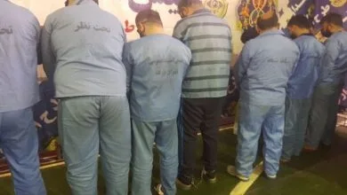 5247097.jpg