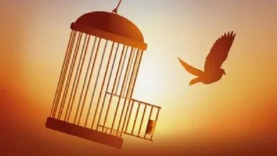پویش «فاستبقوالخیرات» در دادگستری تهران راه‌اندازی شد