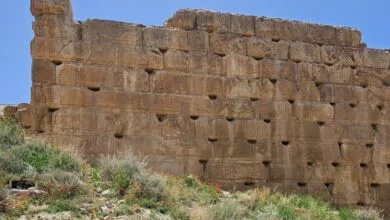اثبات چهار دوره زندگی در تل تخت پاسارگاد اثبات چهار دوره زندگی در تل تخت پاسارگاد