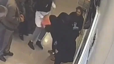 5319142.jpg