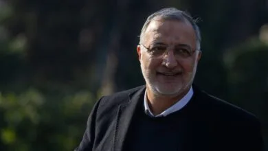 5321985.jpg