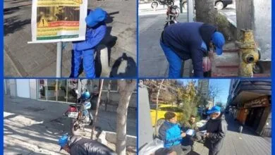 اجرای طرح ضربتی مبارزه با جانوران موذی در تهران