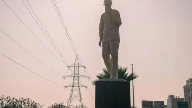 5327546.jpg