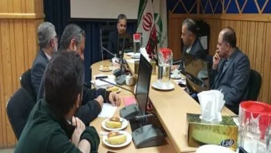 تولید مستندهای حیات وحش در سطح جهانی
