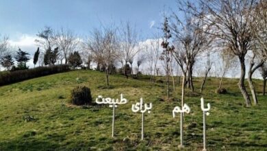 مدیر پارک طبیعت پردیسان منصوب شد
