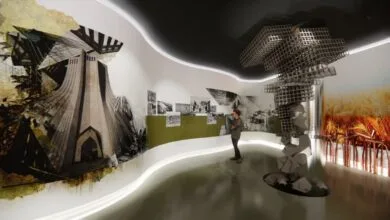 5339528.jpg
