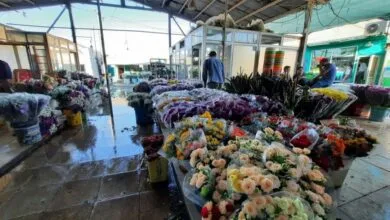 بازار گل امام رضا (ع) در تهران همچنان تهدیدی برای جان شهروندان