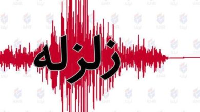 زلزله ۴.۷ ریشتری حوالی «ریز» در استان بوشهر را لرزاند