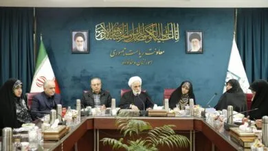 انصاری: وضعیت فرهنگی خانمها در قانونگذاری لحاظ شود انصاری: وضعیت فرهنگی خانمها در قانونگذاری لحاظ شود