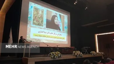 انصاری: مشکلات شهر اصفهان به اَبَرچالشهای محیطزیستی تبدیل شده است انصاری: مشکلات شهر اصفهان به اَبَرچالشهای محیطزیستی تبدیل شده است