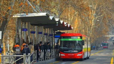 61903541.jpg