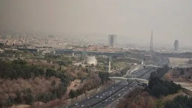 62459630.jpg