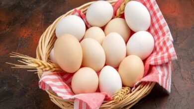 میزان پروتئین موجود در تخممرغ چقدر است؟ میزان پروتئین موجود در تخممرغ چقدر است؟