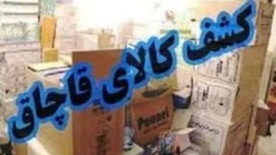 کشف ۲۳۳ همت انواع کالای قاچاق در سال جاری