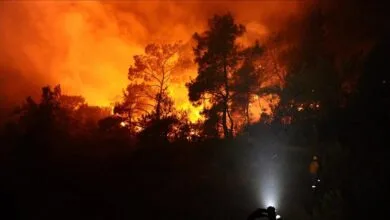 آتشسوزی در چالوس مهار شد