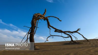 ممنوعیت کفشکنی و حفر چاههای جدید در دشتهای ممنوعه استان سمنان ممنوعیت کفشکنی و حفر چاههای جدید در دشتهای ممنوعه استان سمنان
