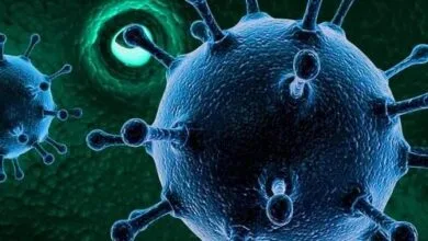 «متاپنوموویروس انسانی» چیست؟/ چین با شیوع ویروسی دیگر اقدامات اضطراری را تشدید میکند