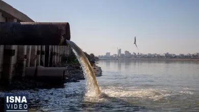 ویدیو/ فاضلاب؛ بلای جان کارون