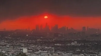 63312503.jpg