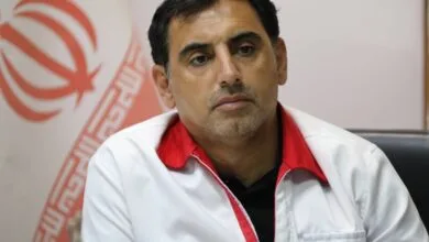 63312820.jpg