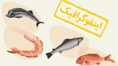 اینفوگرافیک/ ۶ غذای دریایی سرطان‌زا