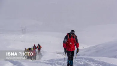 تهران اجتماعی
