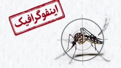 اینفوگرافیک/ صید پشه «آئدس» در ۹ استان