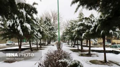 غیرحضوری شدن کلاس‌های درس برخی مدارس در سه شهرستان استان سمنان