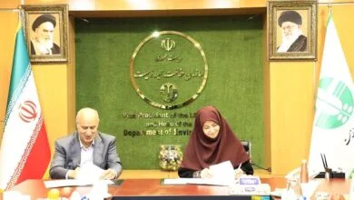 امضای تفاهمنامه میان سازمان محیط‌ زیست و فدراسیون فوتبال/ یوز نماد تیم ملی باقی ماند