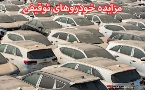 81eed917-81d3-4994-b083-e4471f6c62a6
