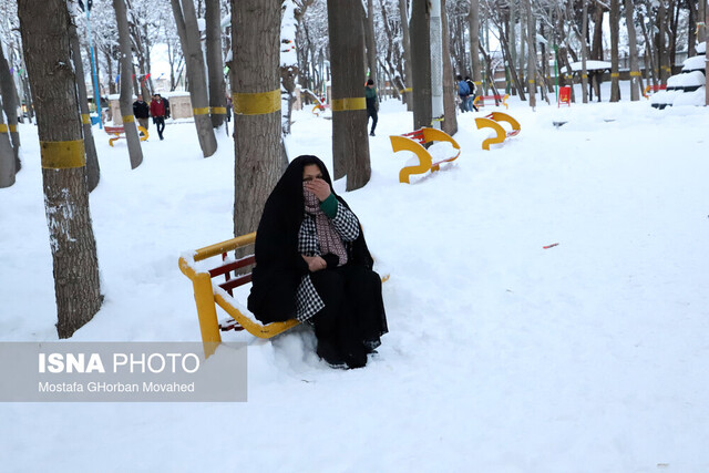 رفتارهای جزیره‌ای و انقراض یوزپلنگ‌ها، دمای زیر صفر درجه و...