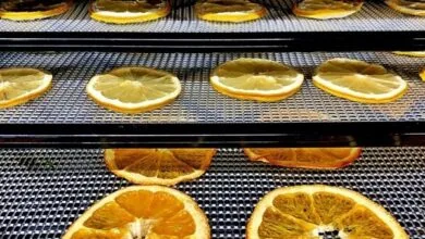 اشتغالزایی با کاهش ضایعات کشاورزی و افزایش درآمد روستاییان اشتغالزایی با کاهش ضایعات کشاورزی و افزایش درآمد روستاییان