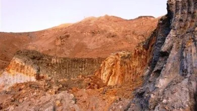 3954900.jpg