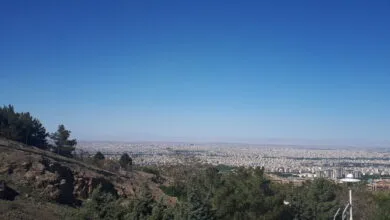 4497236.jpg